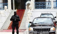 Aniquilan diversas redes terroristas en Argelia y Túnez