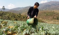 Ma A Nu, un empresario ejemplar de la etnia Mong en Sa Pa