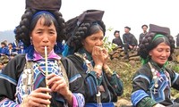 Música, instrumentos, y bailes tradicionales de los Ha Nhi