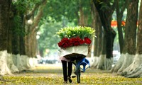 Flores que simbolizan el verano de Hanoi