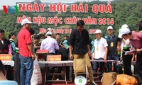 Celebran Fiesta de cosecha de Frutas 2016 en Moc Chau