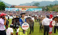 Carrera de caballos de Bac Ha 2016 atrae a más de diez mil visitantes