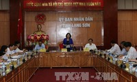 Urgen a provincia vietnamita a verificar estrategia de desarrollo socioeconómico