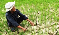 Vietnam garantiza los derechos de su población ante los efectos del cambio climático