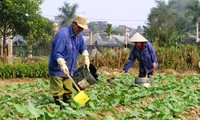 Comuna de Tuy Loc promueve éxitos de la renovación rural