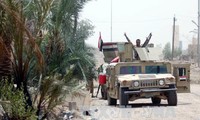 Iraq declara liberación total de la ciudad de Fallujah de las garras del Estado Islámico