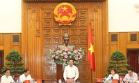 Vietnam promueve actividades preparativas para el Año de APEC 2017 