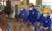 Crearán empresa mixta Vietnam-Cuba de de materiales constructivos