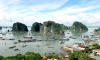Dinamizan programa de protección ambiental en Bahía de Ha Long y Cat Ba