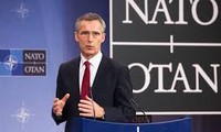 La OTAN comprometida en apoyar la alianza contra el Estado Islámico 