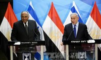 Egipto contribuye a esfuerzos comunes en busca de paz en Oriente Medio 
