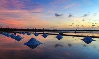 Campo de sal de Vietnam, uno de los 15 puntos ideales del mundo para contemplar el alba