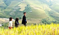 “Los colores del noroeste”, tema del Año de Turismo 2017 en Vietnam