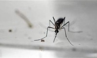 Colombia declara fin de la epidemia del zika
