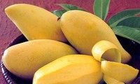 Estados Unidos autoriza importación de mangos frescos y caimitos de Vietnam