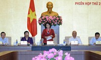 Instan en el Parlamento vietnamita a acatar las disciplinas financieras