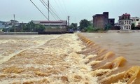 Localidades vietnamitas concentradas en superar las consecuencias del tifón Dianmu