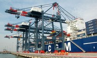Vietnam y Holanda colaboran en el desarrollo de la industria marítima