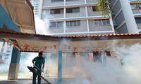 Detectan 38 nuevos casos de Zika en Singapur 