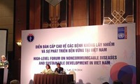 Foro de Alto Nivel sobre enfermedades no transmisibles en Vietnam 