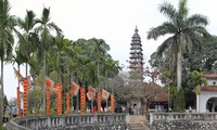 Nam Dinh, tierra rica en patrimonios y tradiciones