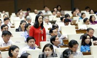 Parlamento vietnamita analiza enmendado Código Penal de 2015