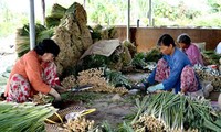 Vietnam por reducción de la pobreza y cumplimiento de sus Objetivos de Desarrollo