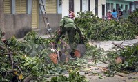 ONU apoya Cuba a superar consecuencias del huracán Matthew