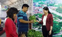 Inaugurada Feria de productos ventajosos de localidades vietnamitas