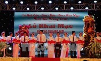 Diversas actividades en el Festival Ooc Om Bok de la etnia Temer en Soc Trang