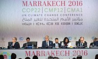 COP 22: Transforman Acuerdo de París en hechos concretos