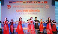 Inaugural Festival Vietnam-Japón 2016 en Can Tho
