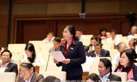 Parlamento vietnamita aprueba resolución relativa al presupuesto estatal