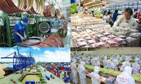 Economía de Vietnam seguirá estable, según expertos extranjeros 