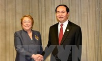 Presidente vietnamita reunido con dirigentes de países de APEC