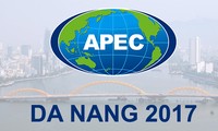 APEC 2017 afirma prestigio de Vietnam en palestra internacional
