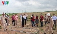Refuerzan cooperación internacional en apoyo al desminado en Vietnam