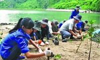 Vietnam empeñado en enfrentar el cambio climático en 2016 con el apoyo internacional