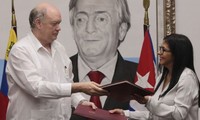 Cuba y Venezuela integran planes de desarrollo económico conjunto