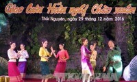 Celebran en Thai Nguyen programa artístico en saludo al año nuevo 2017