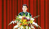 Provincia sureña de Vietnam celebra 20 años de su restablecimiento 