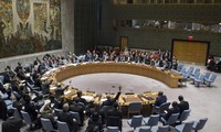 Consejo de Seguridad de la ONU aprueba resolución relativa al cese del fuego en Siria