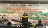 Aprecian las realizaciones del Grupo de Energía Eléctrica de Vietnam en 2016