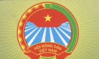 Evalúan trabajos realizados y trazan orientaciones para el desarrollo agrícola y rural en Vietnam