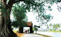 Características estructurales simbolizan la aldea tradicional vietnamita