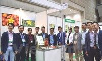 Japón apoya a provincia vietnamita de Lam Dong en agricultura 