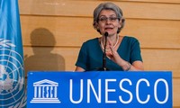 Unesco apoyará reinserción de las FARC-EP a la educación
