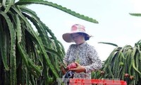 Vietnam y Alemania impulsan comercio de frutas y verduras 
