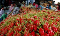 Vietnam por incrementar exportaciones de frutas y vegetales