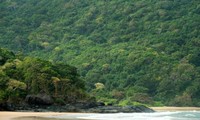 Isla vietnamita exaltada en revista de turismo como el mejor destino secreto del orbe